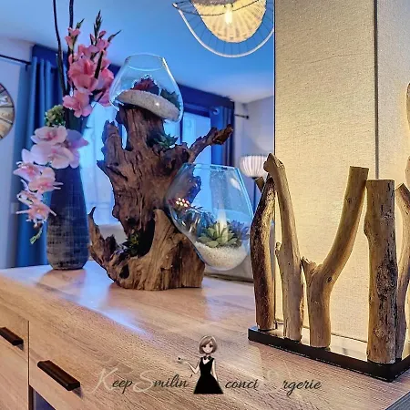 Spacieux T4 Avec Terrasses - Pau * Lons